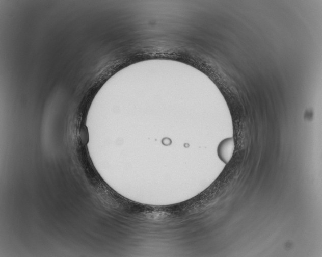 X0000116630695201001081253