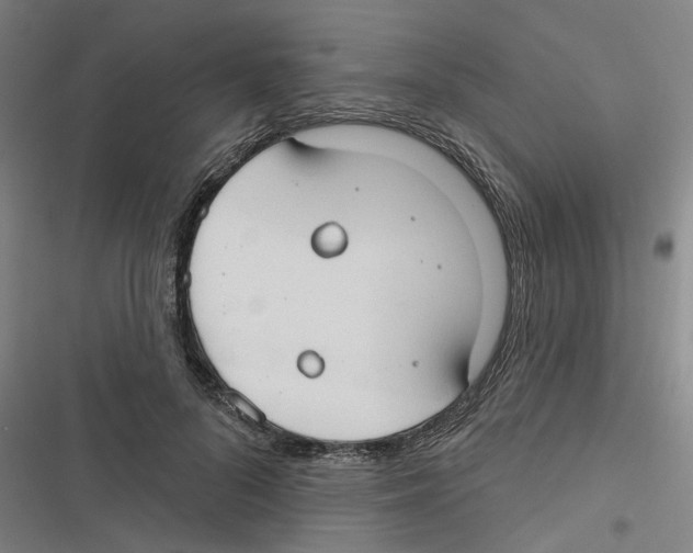 X0000116630696201001081253