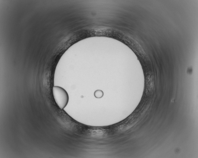 X0000116630698201001081253