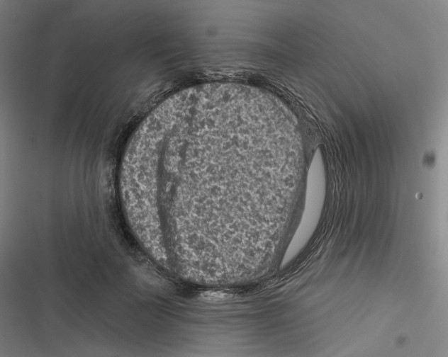 X0000116630699201001081253