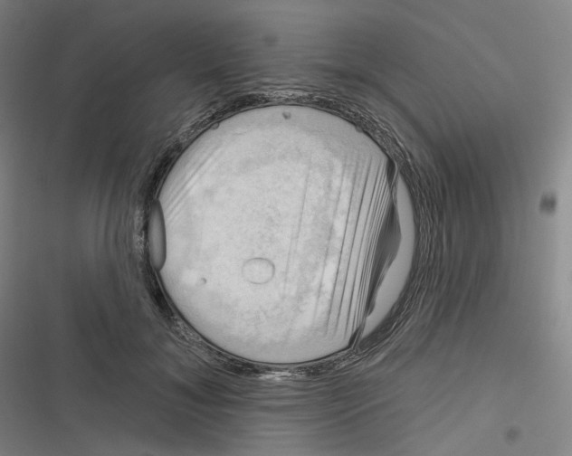 X0000116630700201001081253