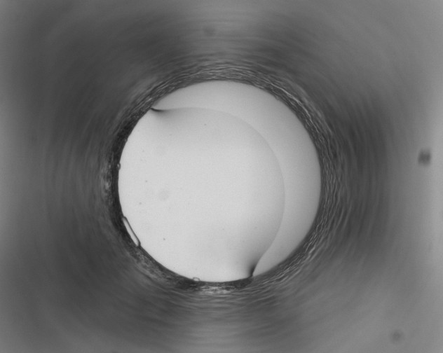 X0000116630701201001081253