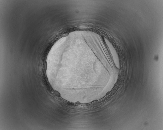 X0000116630704201001081253