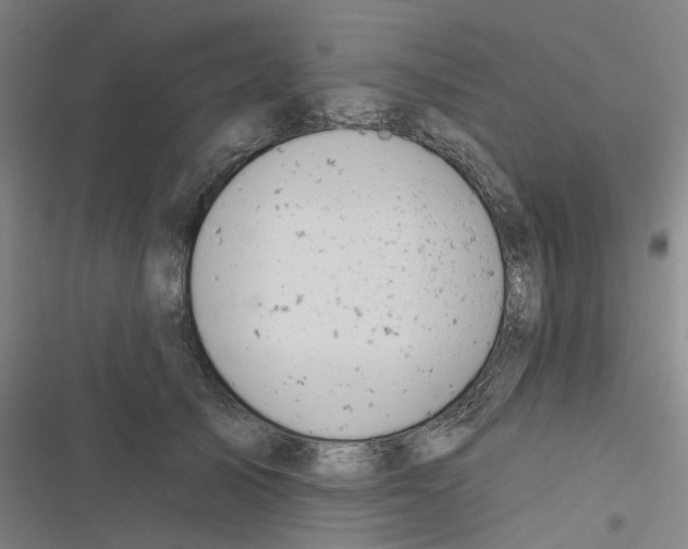 X0000116630705201001081253