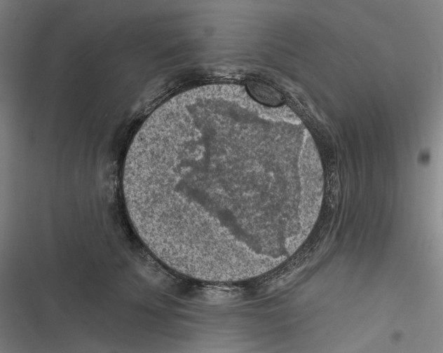 X0000116630707201001081253