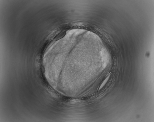 X0000116630708201001081253