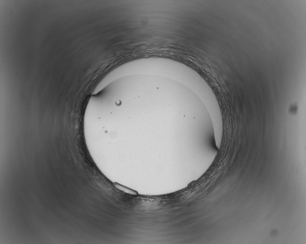 X0000116630709201001081253