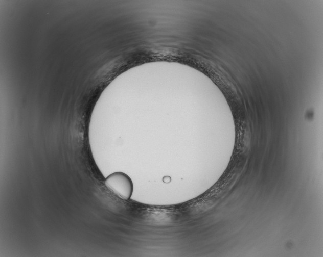 X0000116630710201001081253