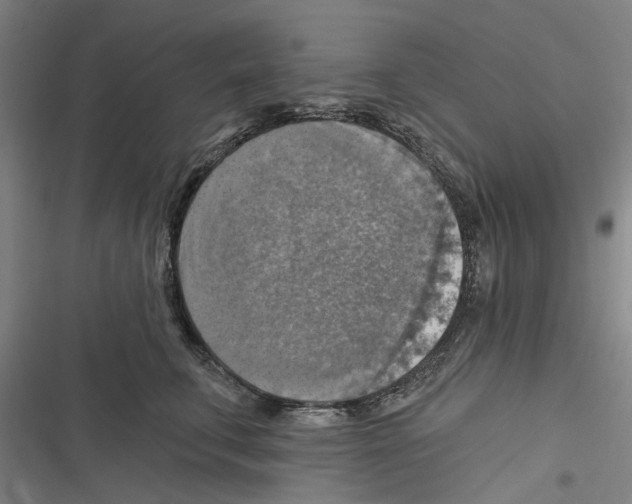 X0000116630711201001081252