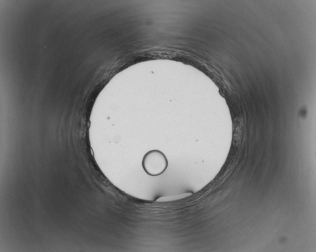 X0000116630713201001081252