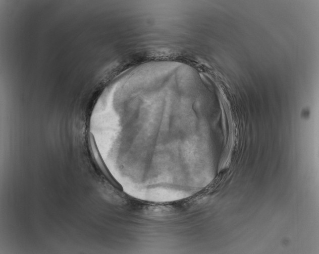 X0000116630716201001081252