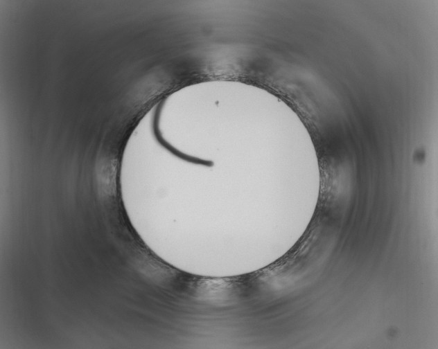 X0000116630717201001081252