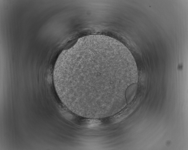 X0000116630719201001081252