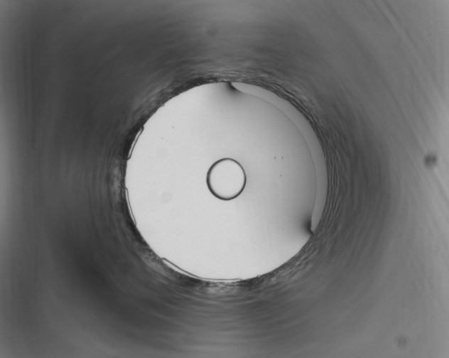 X0000116630720201001081252