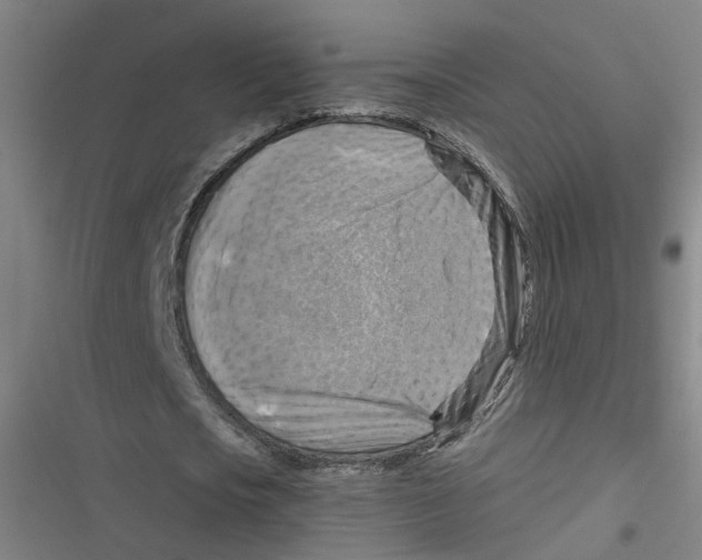 X0000116630721201001081252