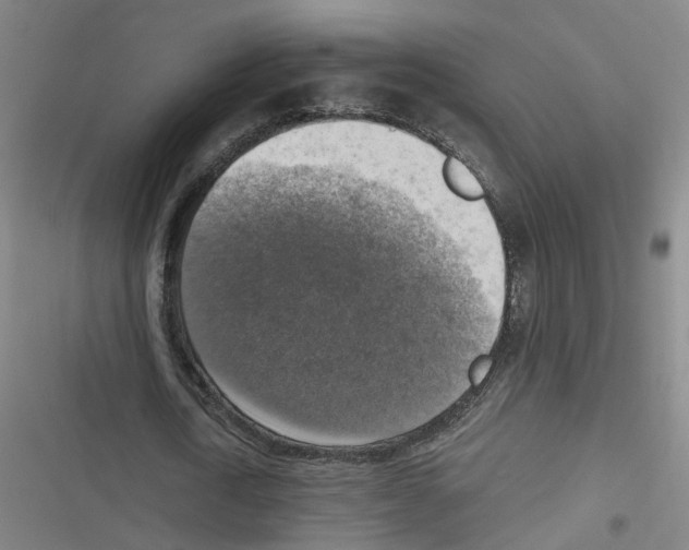 X0000116630722201001081252
