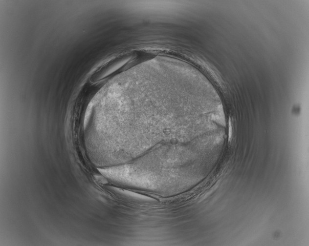 X0000116630723201001081252