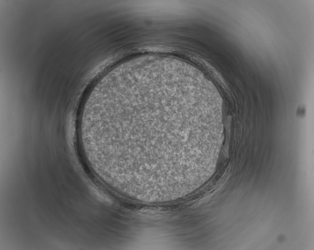X0000116630725201001081252