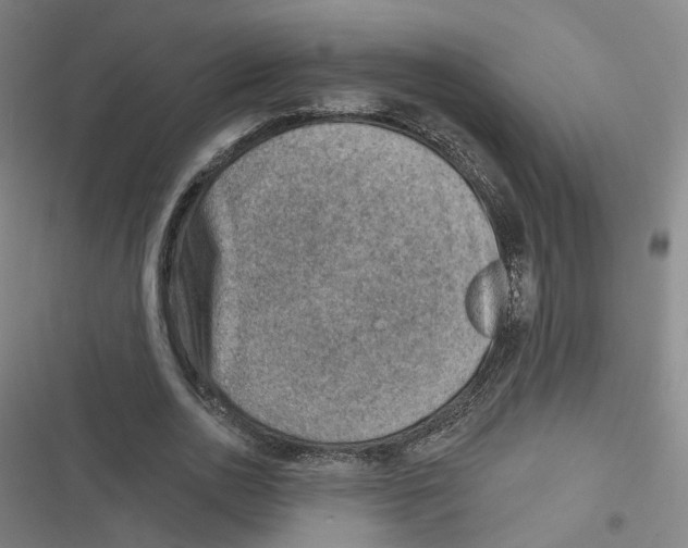 X0000116630726201001081252