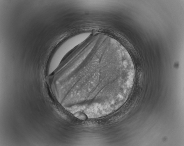 X0000116630729201001081252