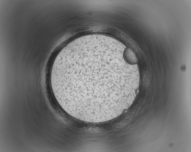 X0000116630730201001081252