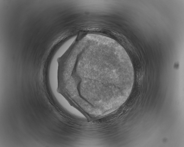 X0000116630735201001081252