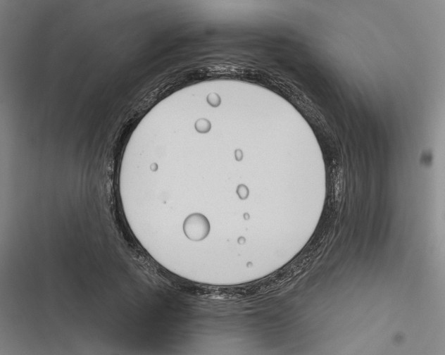 X0000116630737201001081252