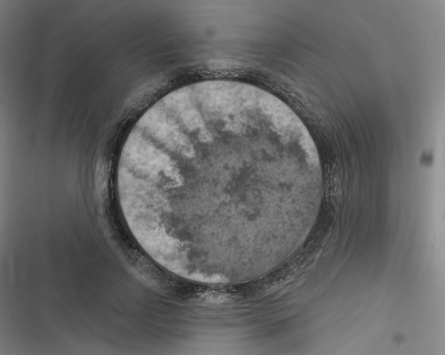 X0000116630742201001081252