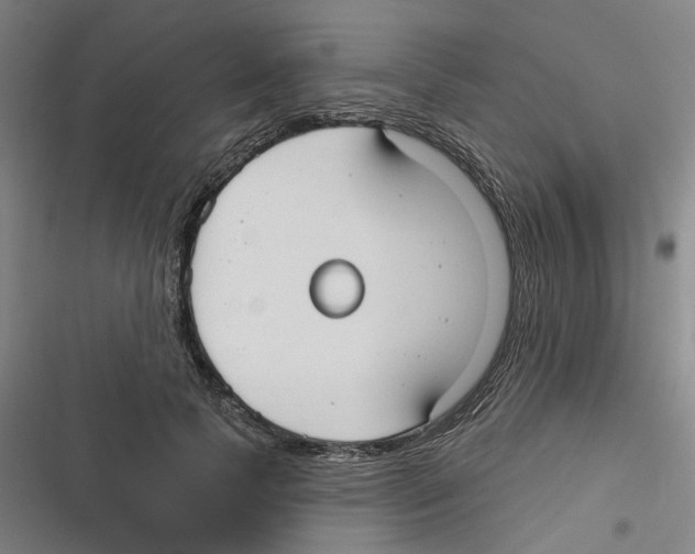 X0000116630745201001081252