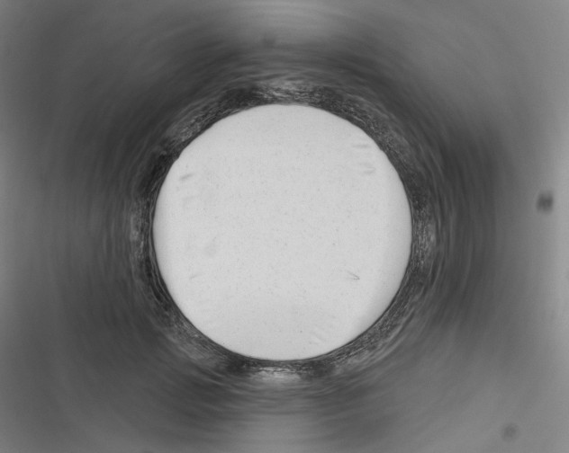 X0000116630749201001081252