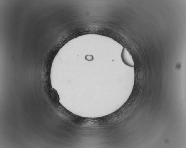 X0000116630750201001081252