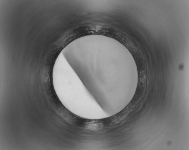 X0000116630754201001081252