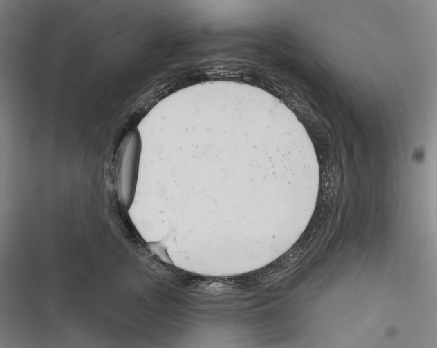 X0000116630755201001081252
