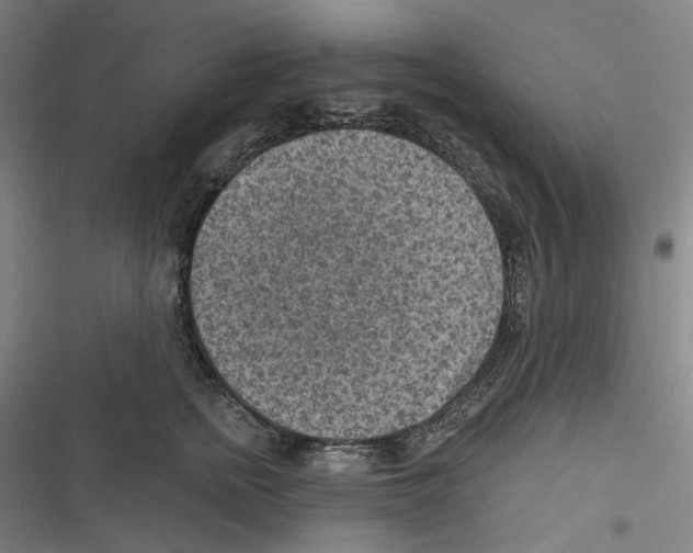 X0000116630758201001081252
