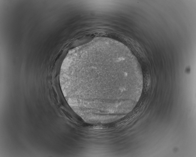 X0000116630759201001081252