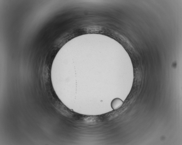 X0000116630761201001081252