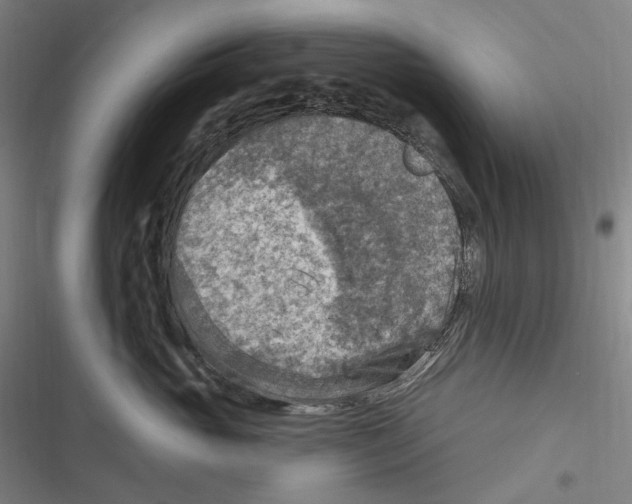 X0000116630765201001081252