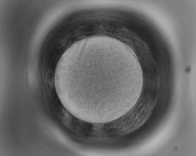 X0000116630766201001081252