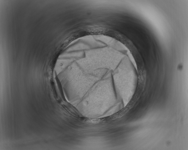 X0000116630767201001081252