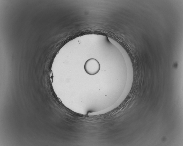 X0000116630769201001081252