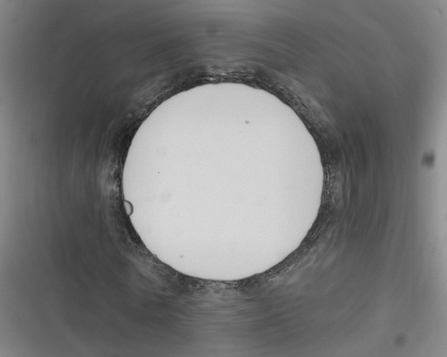 X0000116630770201001081252