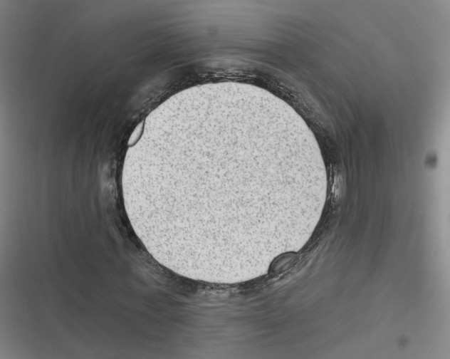 X0000116630771201001081252