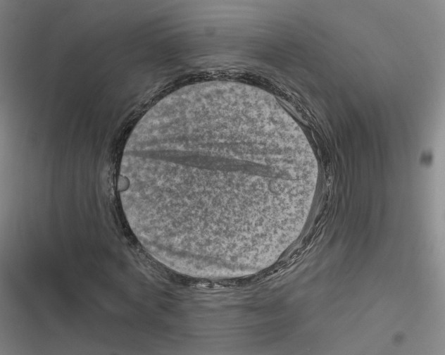 X0000116630772201001081252