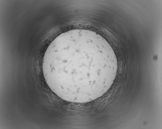 X0000116630774201001081252