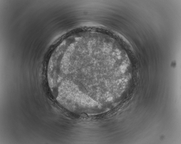 X0000116630775201001081252