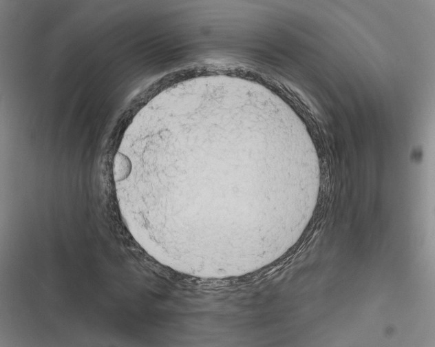 X0000116630776201001081252
