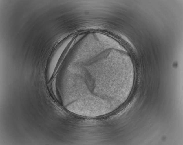X0000116630777201001081252