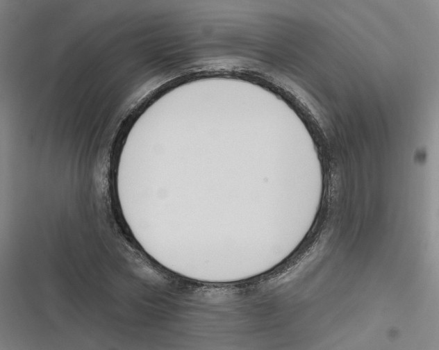 X0000116630778201001081252