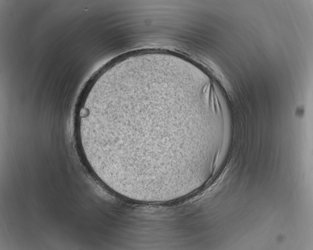 X0000116630780201001081252