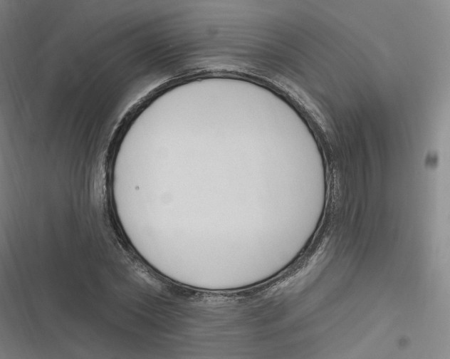 X0000116630782201001081252